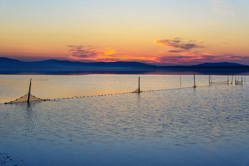 Laguna di Orbetello