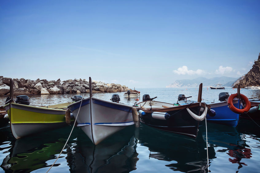 Porto di Manarola