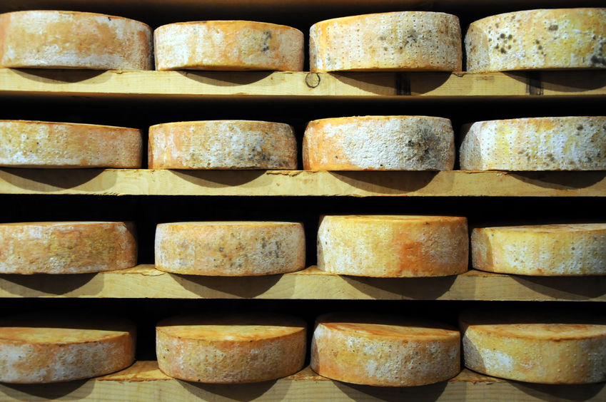 Fontina del vino