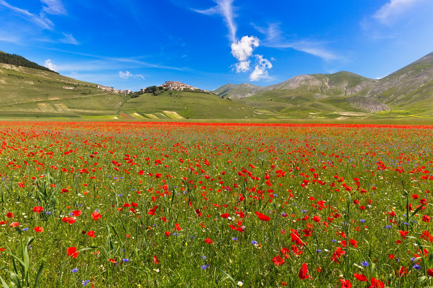 Piani di Castelluccio