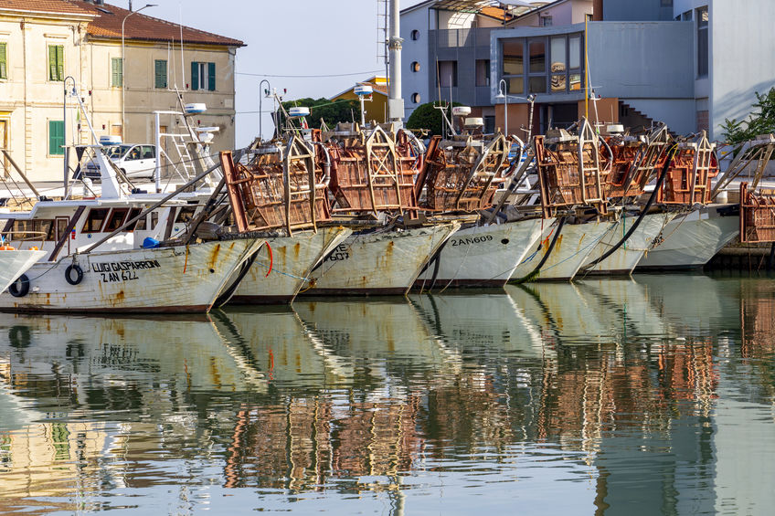 Porto di Senigallia