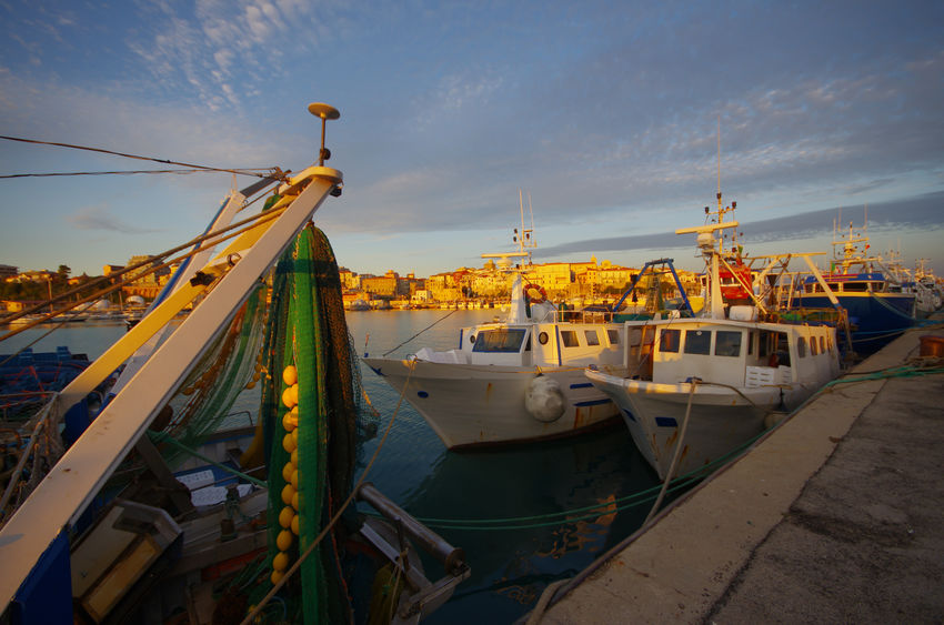 Porto di Termoli