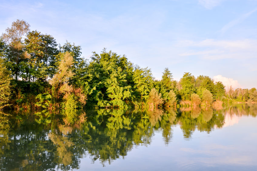 Fiume Brenta