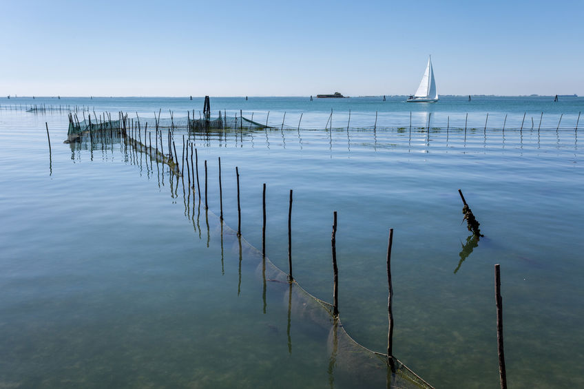 Porto e Laguna di Malamocco