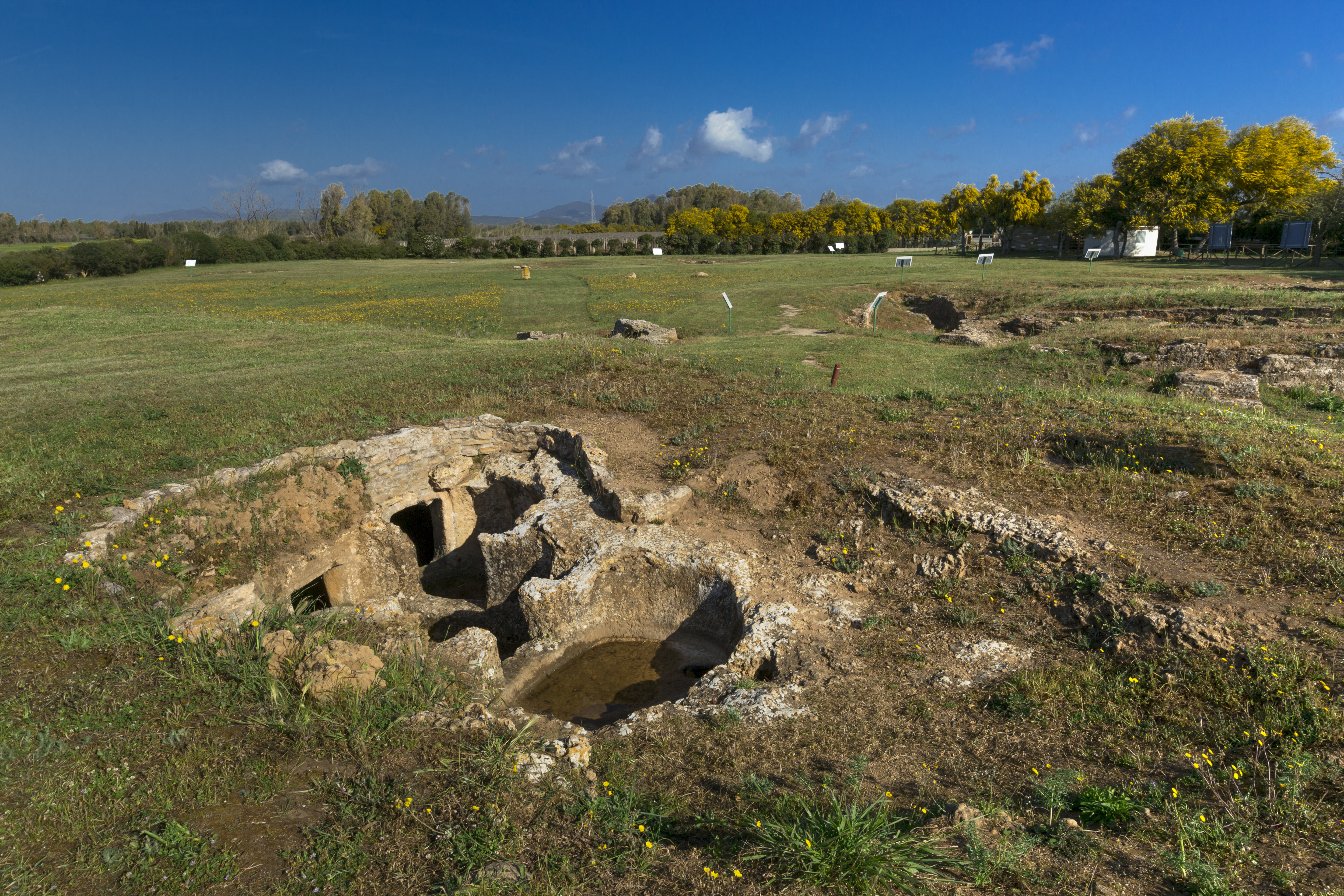 Necropoli di Anghelo Ruju