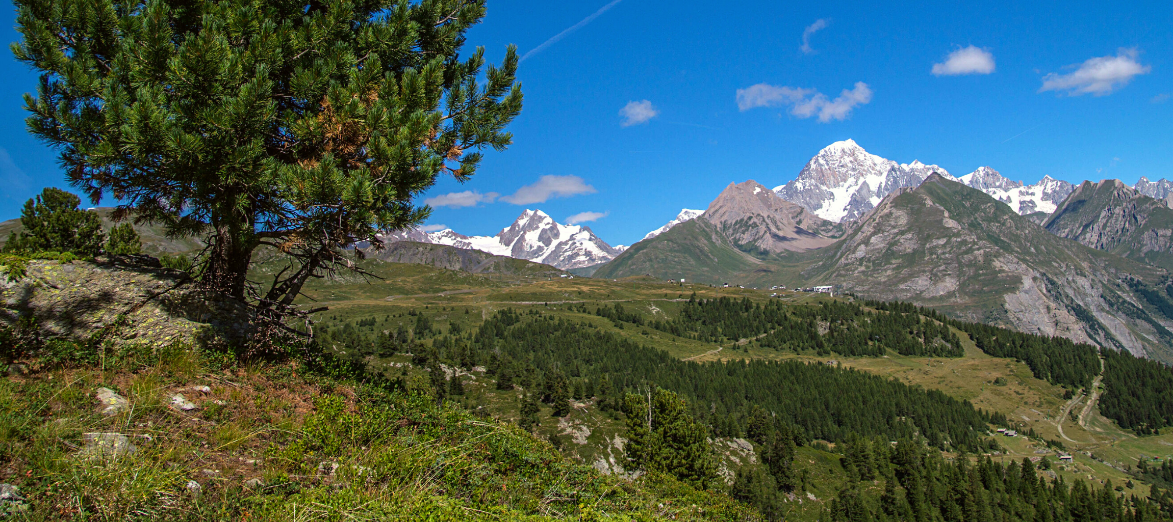  thuile vie d'acqua.png 