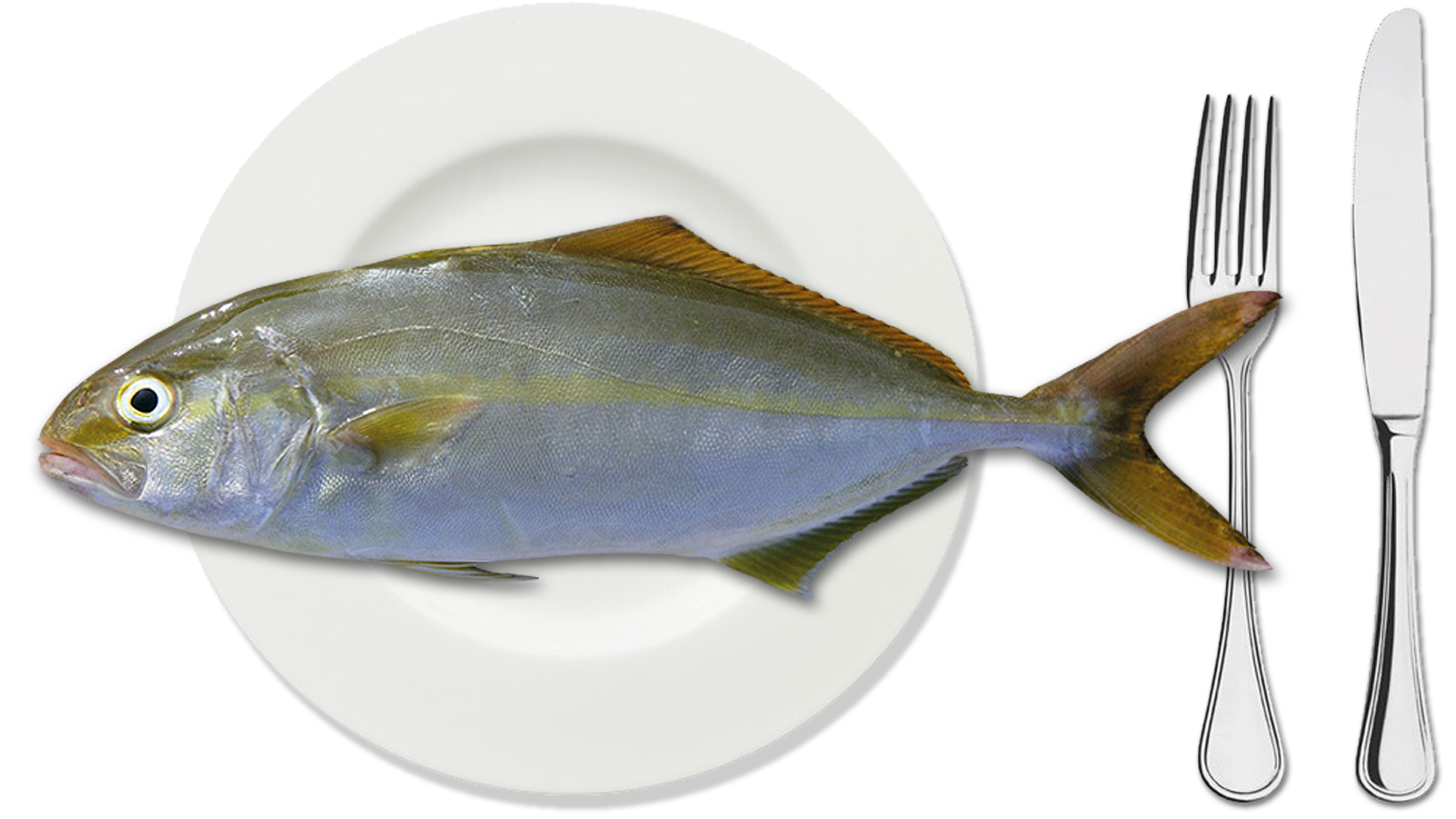 Ricciola