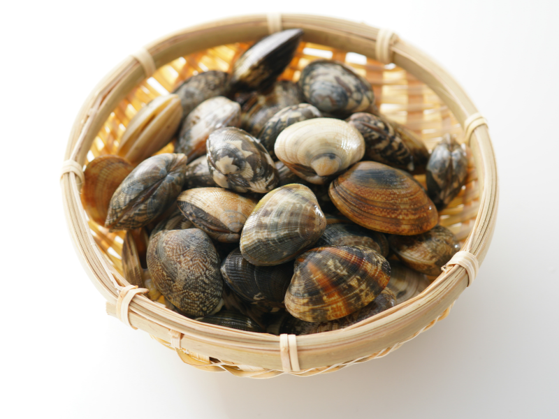 Vongole