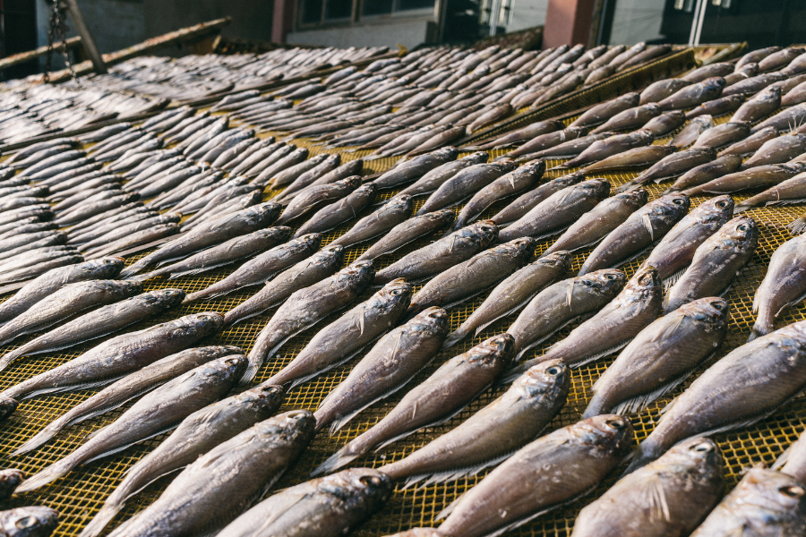 Sale, pepe e rosmarino per i più classici degli accostamenti al pesce, questa volta con l'Ombrina Boccadoro.